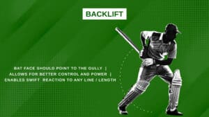 Anatomy of a Perfect Bat Swing in Cricket