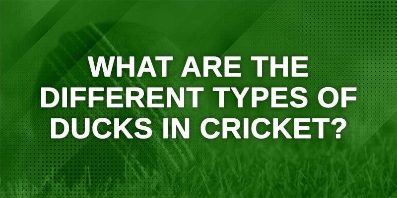 What are different types of ducks in Cricket_