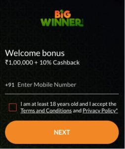 bigwinner app sign up